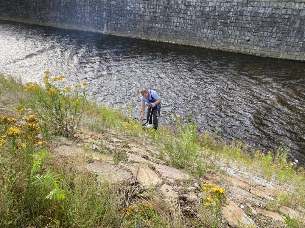 Hier die Uferböschung am Muldekanal Eibenstock/Shönheide, wegen starkem Gefälle schwer zugänglich. Die Mitarbeiter entfernten den Bewuchs bis zur Wasserkante.