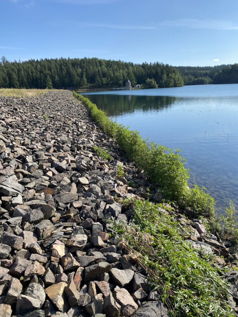 Auf den Schotterflächen konnte der Freischneider nicht eingesetzt werden. Der schwarzfrüchtige Zweizahn an der Wasserkante wurde ebenfalls herausgerissen.