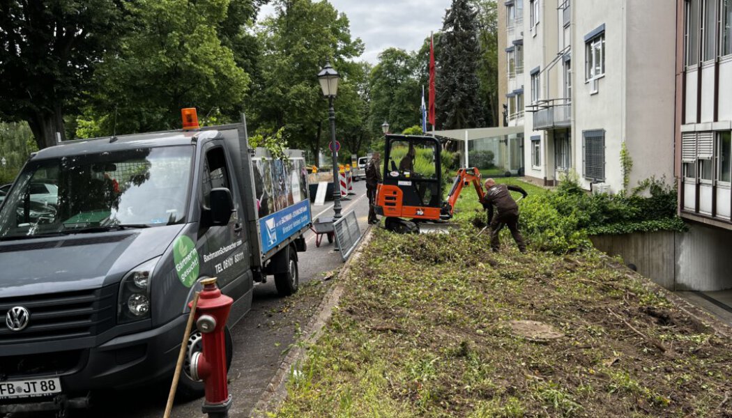 gruenpflege-galerie-01