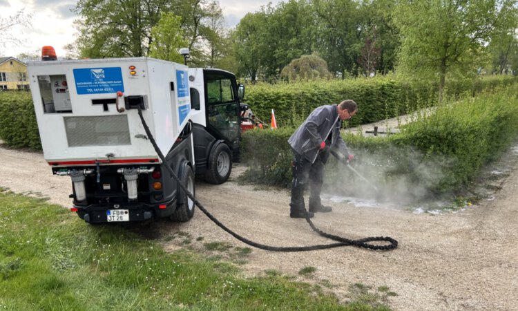 unkrautbekaempfung-galerie01