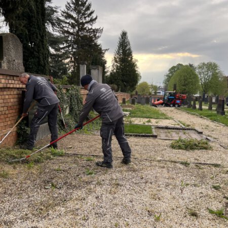 unkrautbekaempfung-galerie02