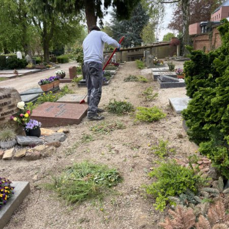 unkrautbekaempfung-galerie03