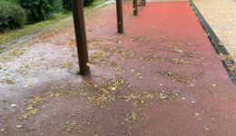 Durch Laub und Schmutz stark verunreinigte Tartanfläche